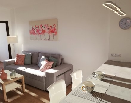 TIR24 Top Floor Apartment