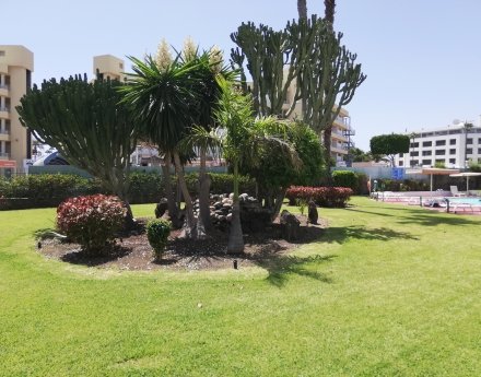 TIR24 Top Floor Apartment