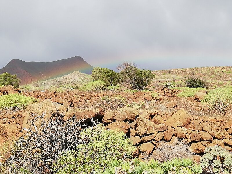 Barranco de las Vacas