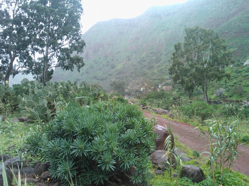 Cave Village Barranco de Guayadeque