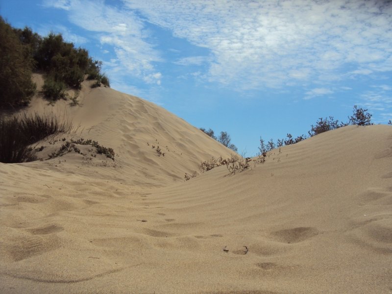 Dunes of Maspalomas