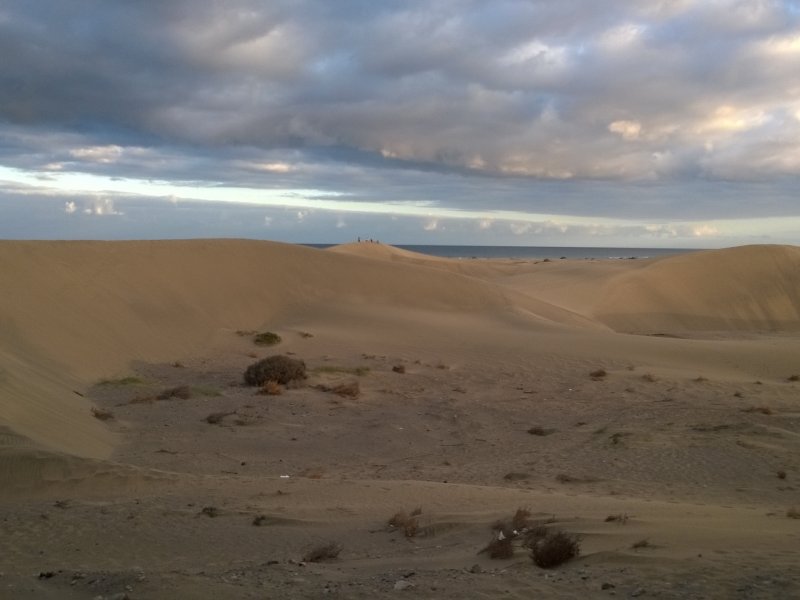 Dunes of Maspalomas