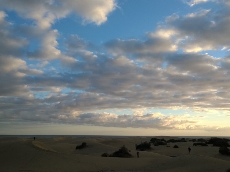 Dunes of Maspalomas