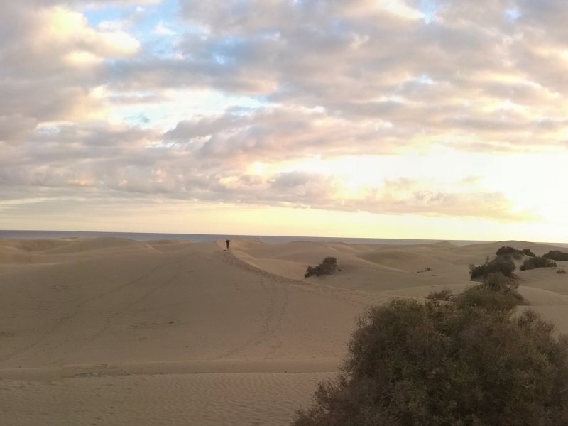 Dunes of Maspalomas