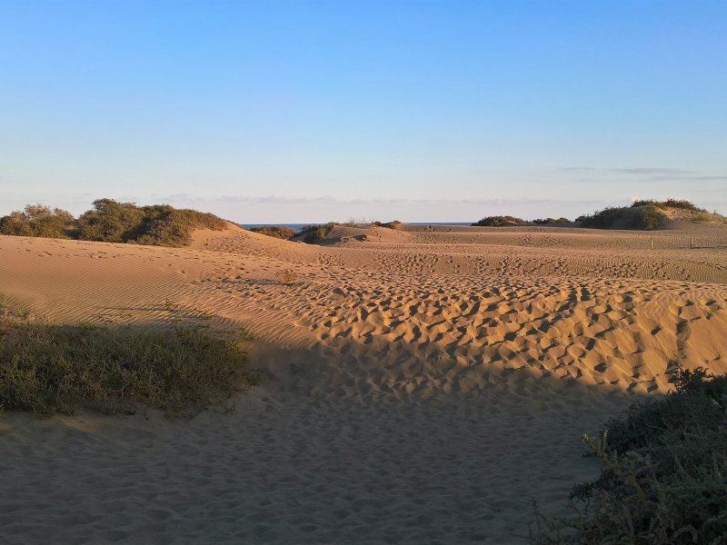 Dunes of Maspalomas