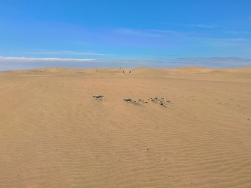Dunes of Maspalomas