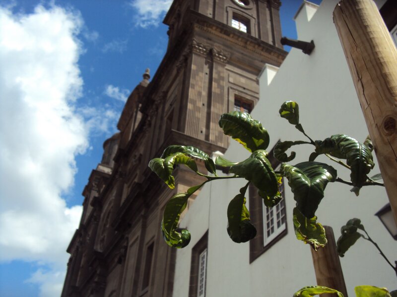 Catedral de Santa Ana, Las Palmas