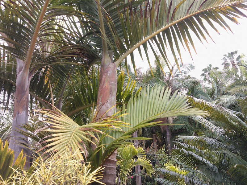 Jardín de la Marquesa