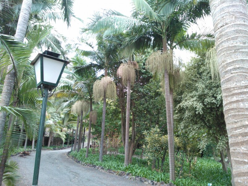 Jardín de la Marquesa