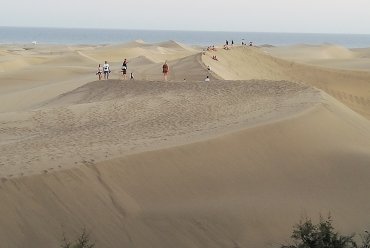 Desert-like sand dunes