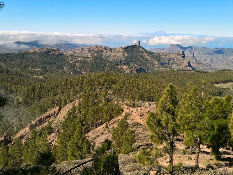 Roque Nublo